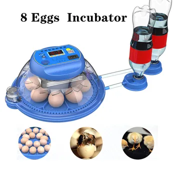 8 ไข่ Incubator เต็มอัตโนมัติจะฟักตั Brooder ฟาร์มอนก Quail ไก่ในฟาร์มเลี้ยงสัตว์แห่ง Hatcher เทิร์นเนองตู้อบเด็กนี้เครื่องมือ